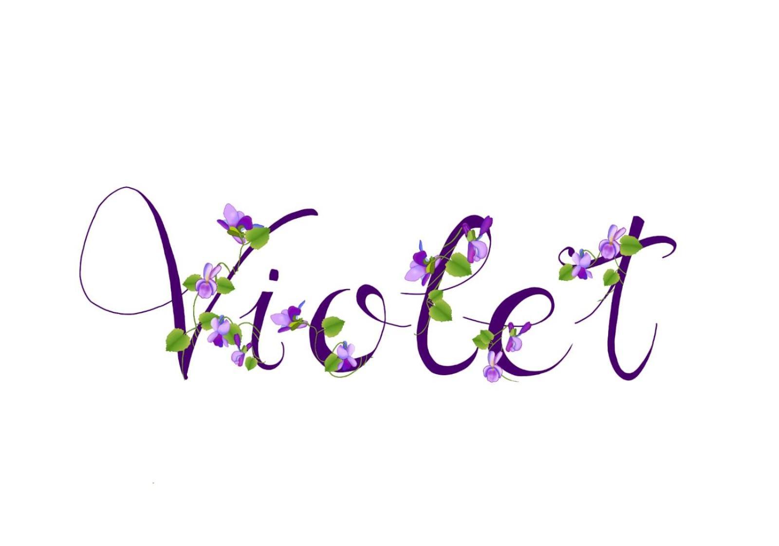 Apartment Violet - Parma