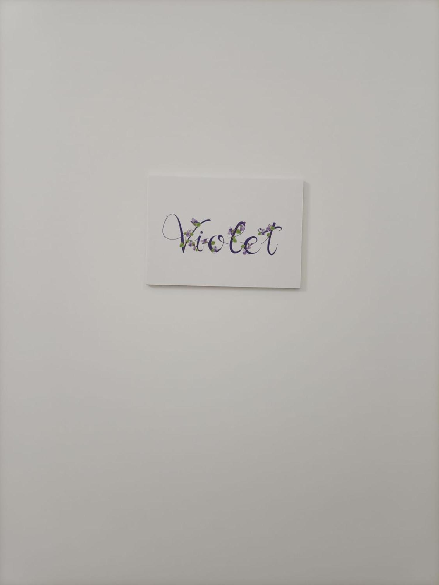 Apartment Violet - Parma